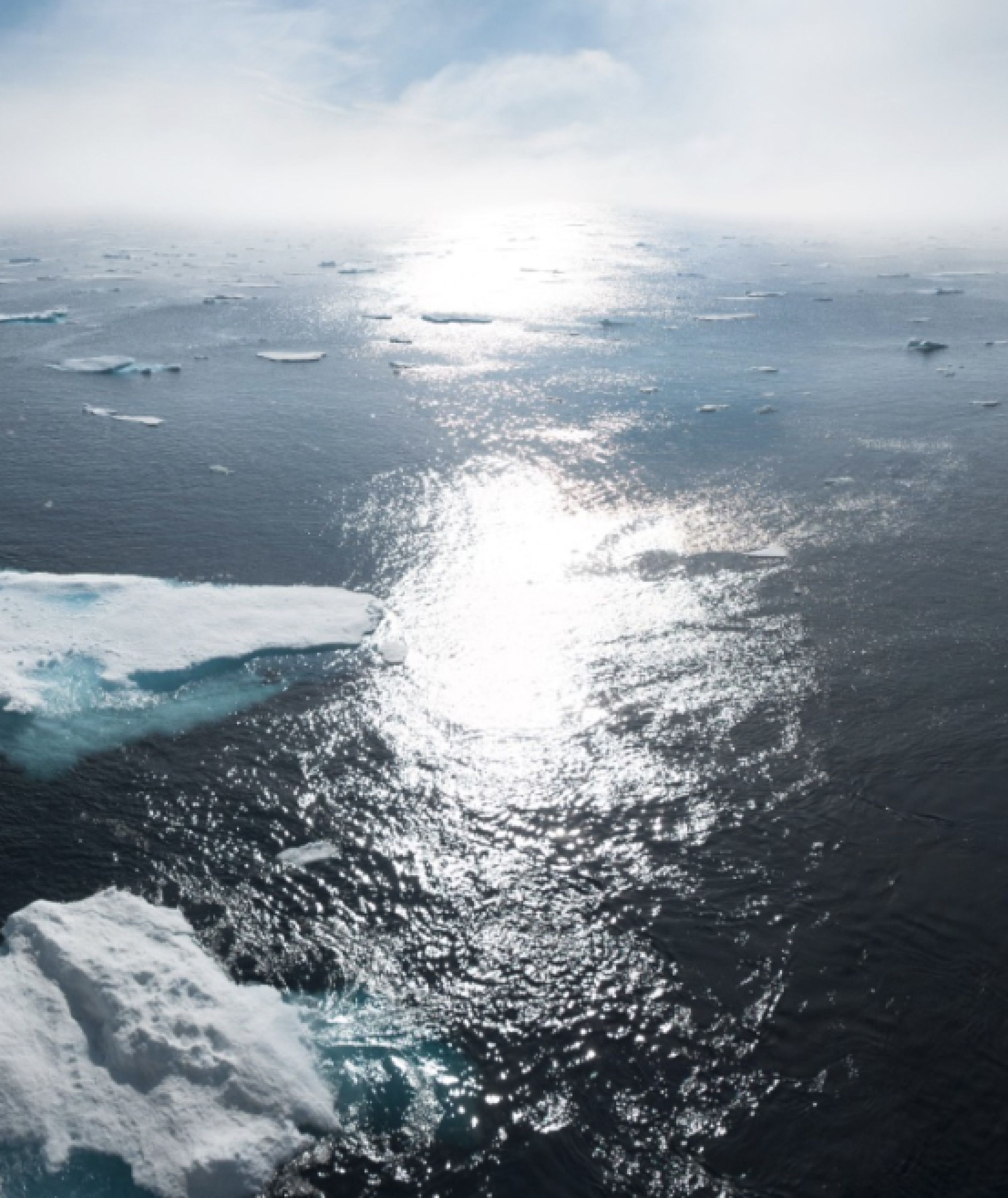 Screenshot 2023-07-17 at 10.47 (1)